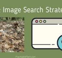 Image of Strategies to Indetify